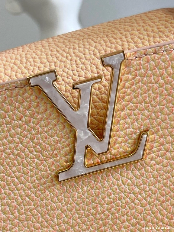 Official oldcobbler VUITTON MINI LOUIS CAPUCINES 0819